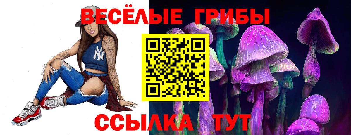 Галлюциногенные грибы Magic Shrooms  наркота  Кинель  Галлюциногенные грибы Psilocybine cubensis  Вход с VPN 